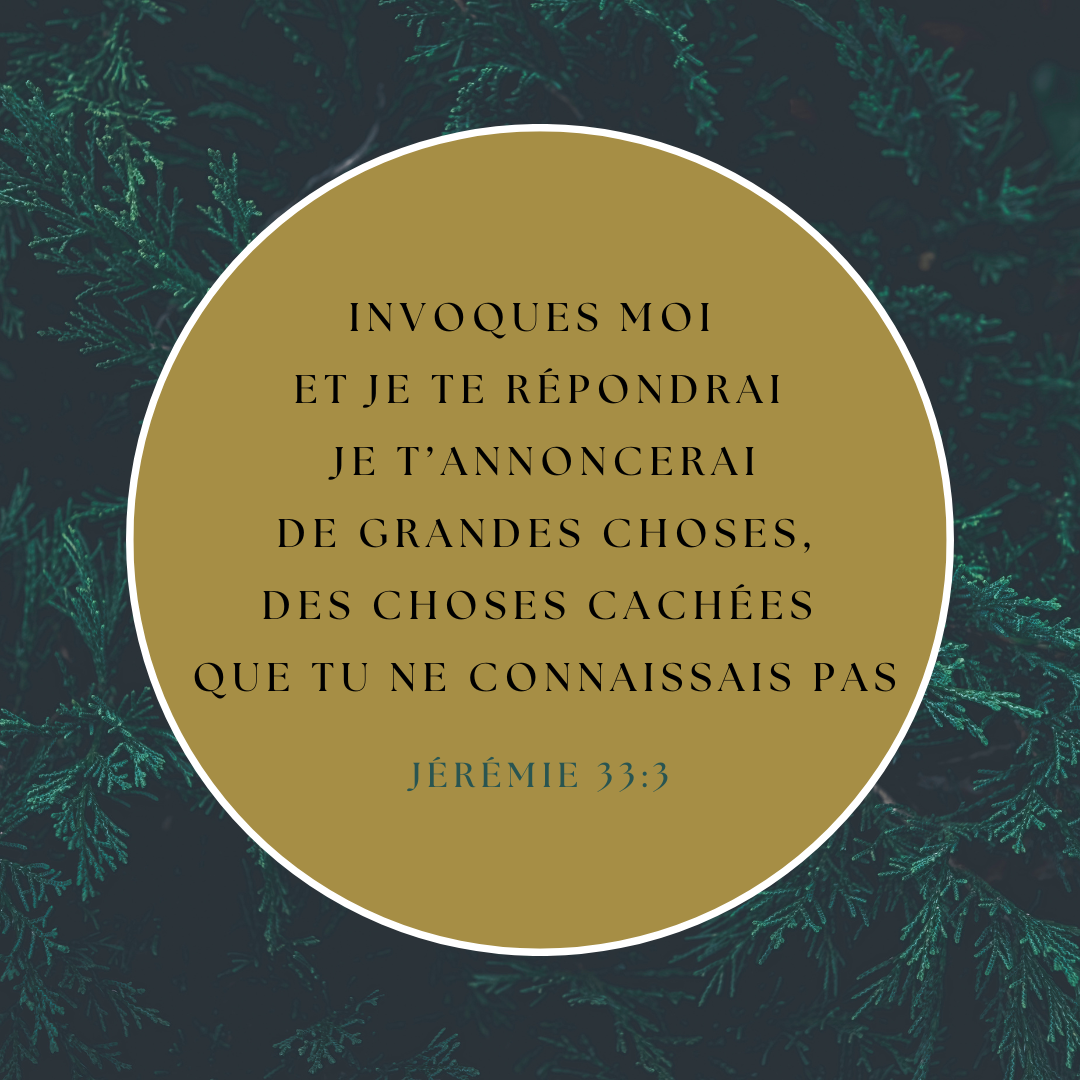 Tote Bag, Jérémie 33:3